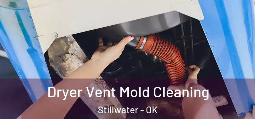  Dryer Vent Mold Cleaning Stillwater - OK