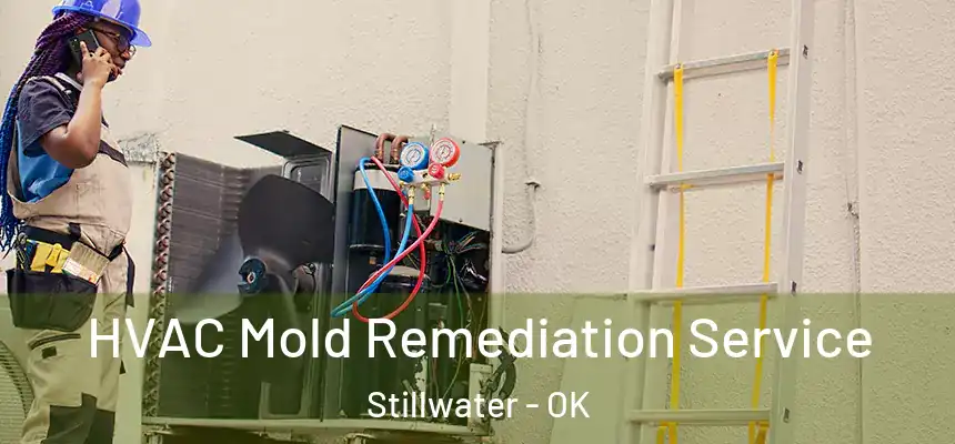  HVAC Mold Remediation Service Stillwater - OK