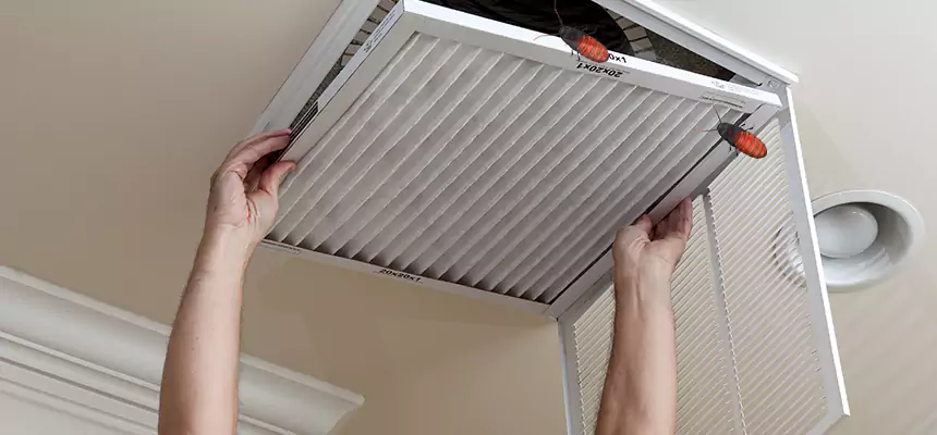Our Insect Removal from Air Ducts Services in Stillwater, OK