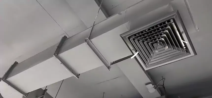 Our Pest Removal From Ducts Services in Stillwater, OK