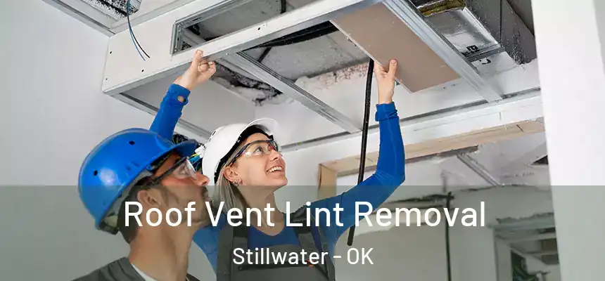  Roof Vent Lint Removal Stillwater - OK
