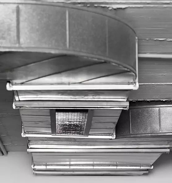 Professional Air Duct Pest Removal in Stillwater, OK