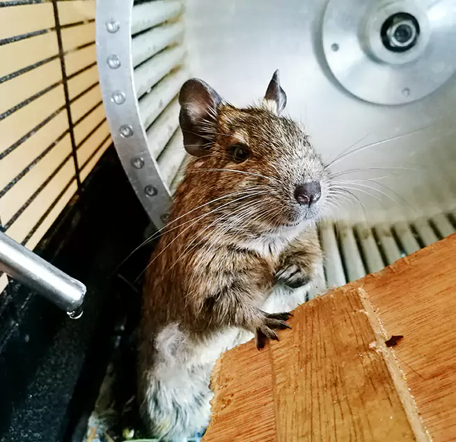 Why Homeowners & Businesses Trust Us Stillwater, OK